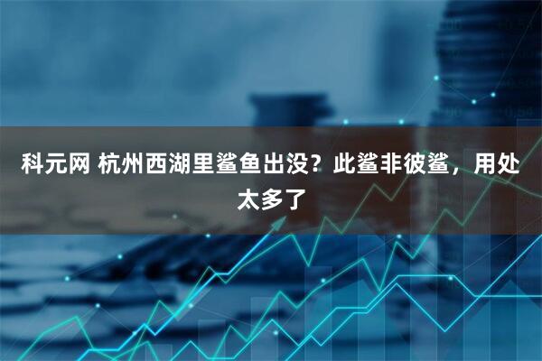 科元网 杭州西湖里鲨鱼出没？此鲨非彼鲨，用处太多了